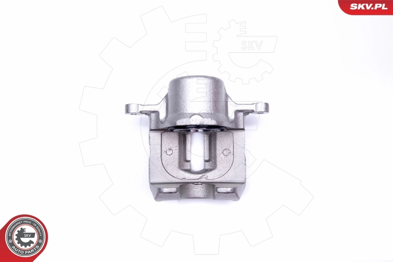 Brake Caliper 42SKV431