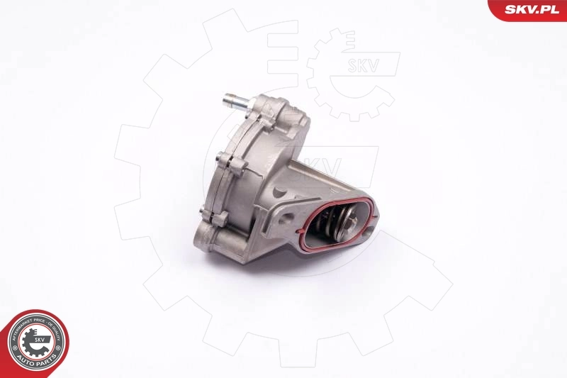 Vacuum Pump, braking system 18SKV013