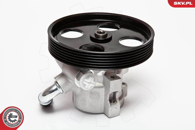 Hydraulic Pump, steering 10SKV002