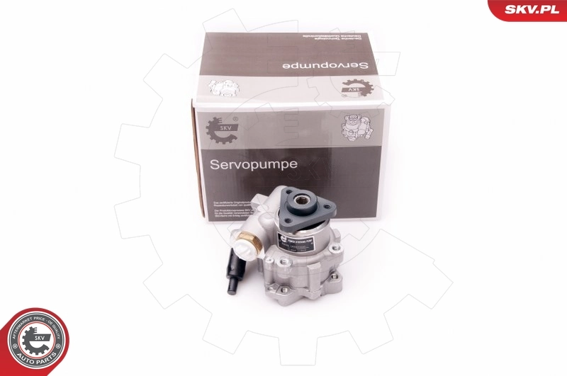 Hydraulic Pump, steering 10SKV239