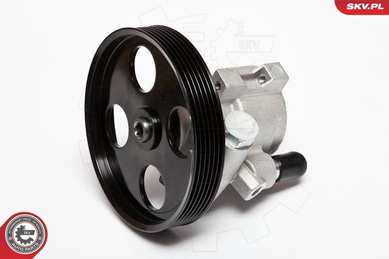ESEN SKV 10SKV069 Hydraulic Pump, steering