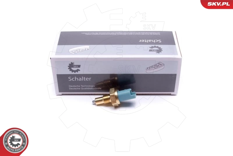 Switch, reverse light 38SKV824