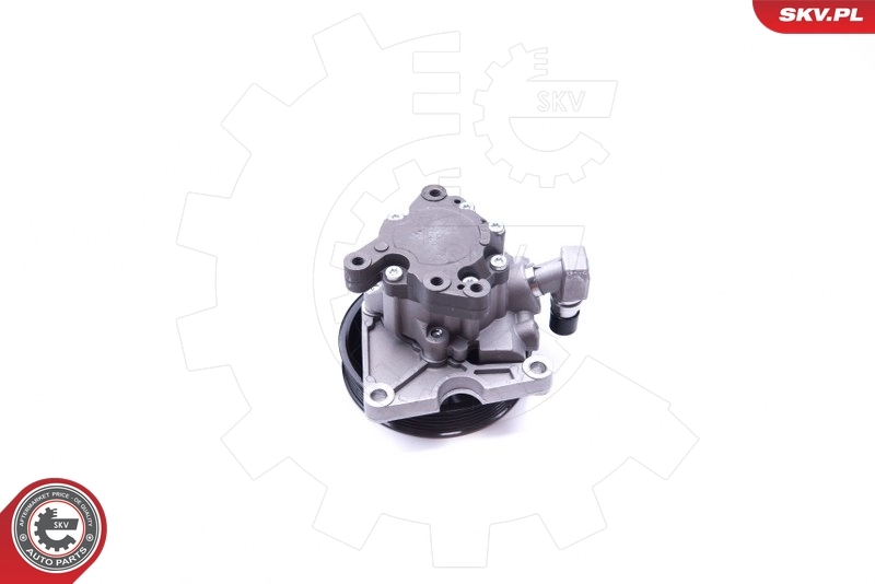 Hydraulic Pump, steering 10SKV270