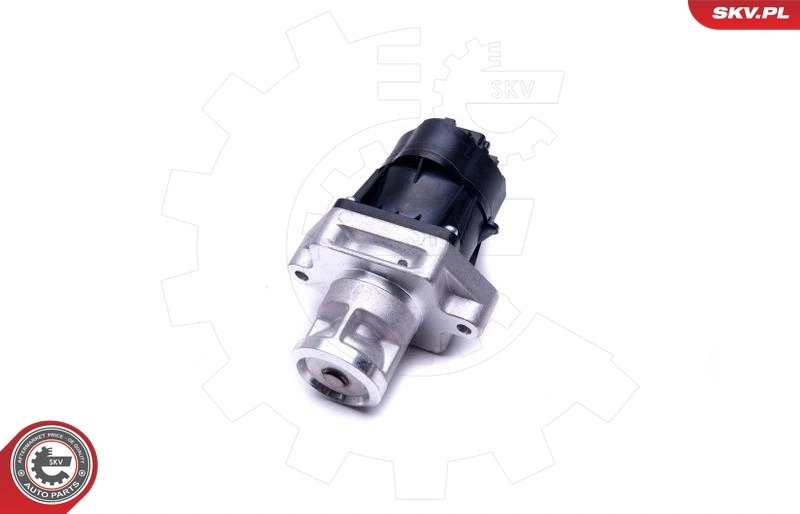 EGR Valve 14SKV217