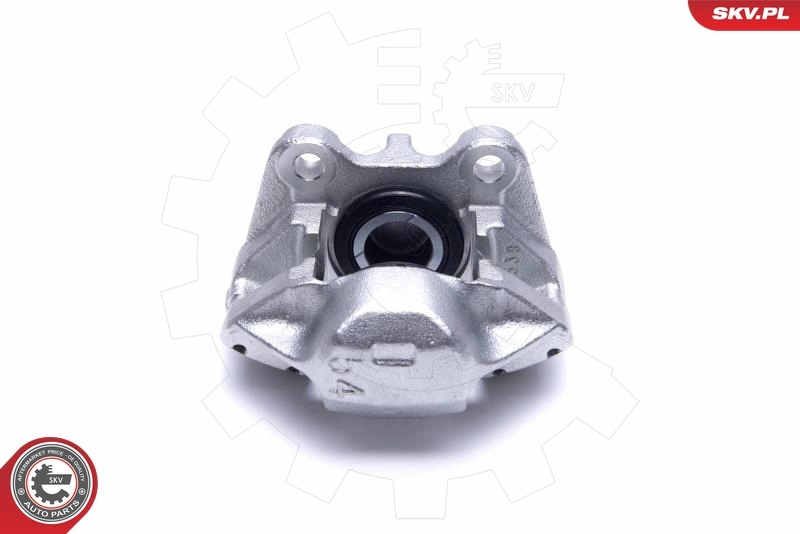 ESEN SKV 55SKV401 Brake Caliper