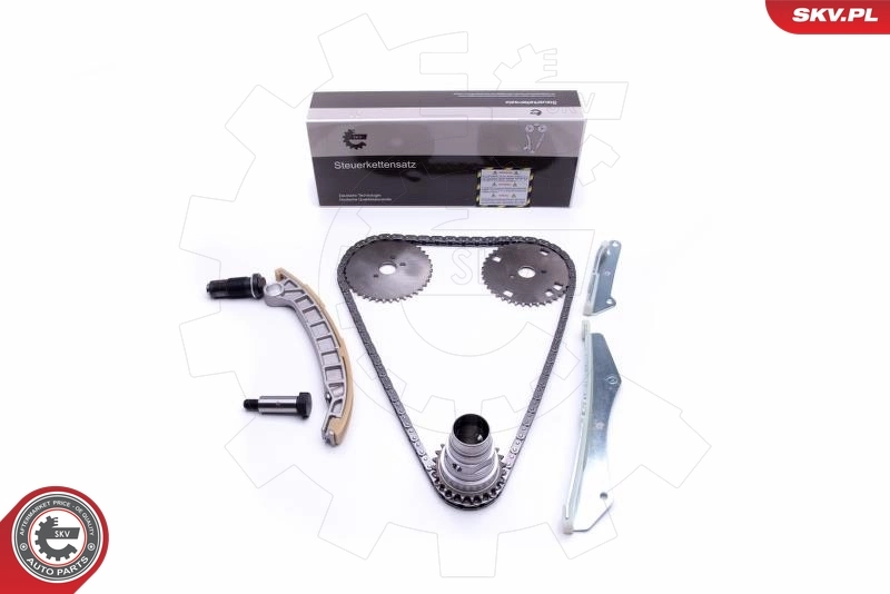 Timing Chain Kit 21SKV142