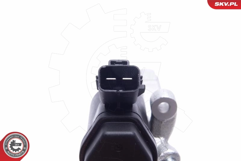 Brake Caliper 55SKV754