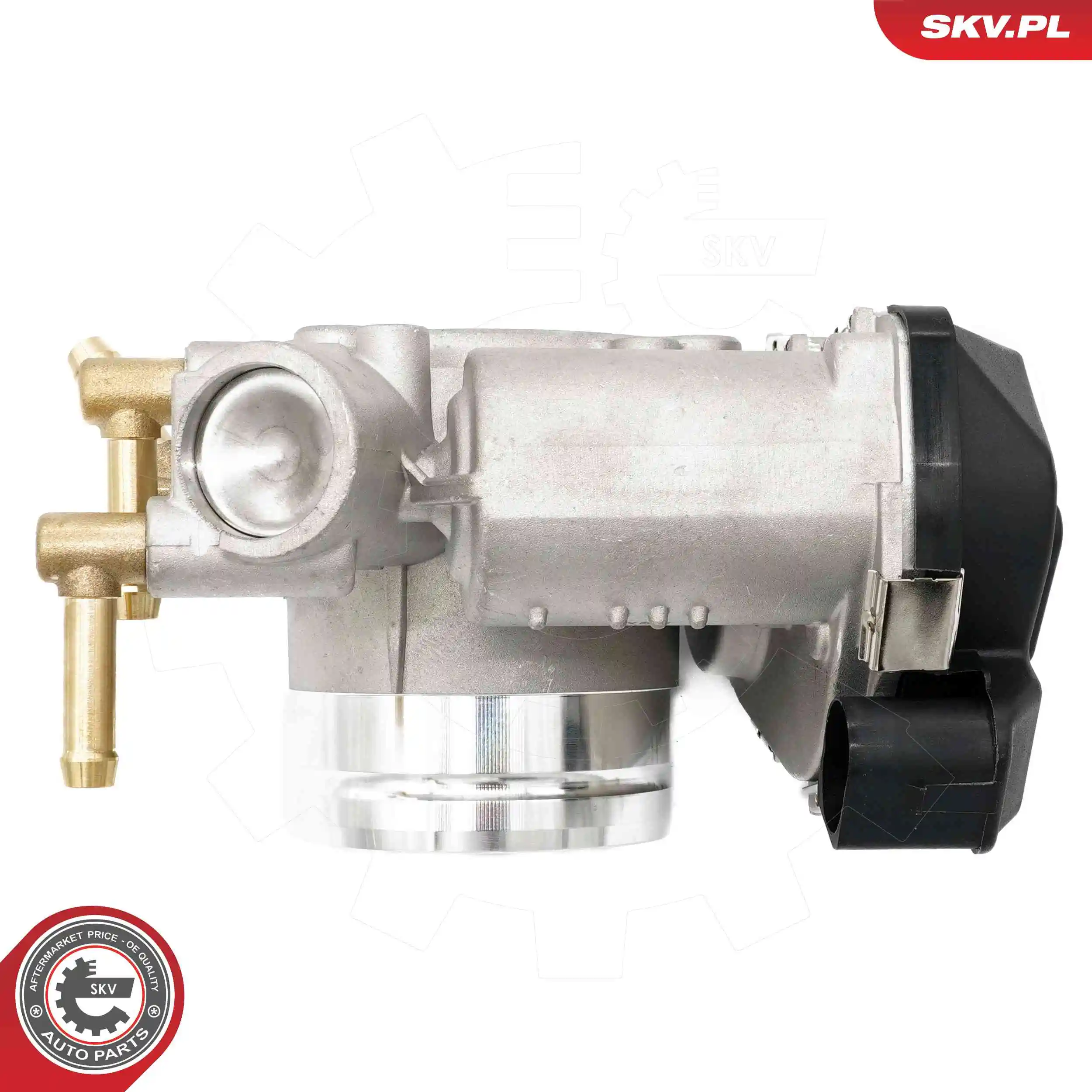 ESEN SKV 12SKV124 Throttle Body