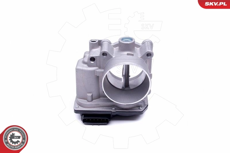 Throttle Body 12SKV091