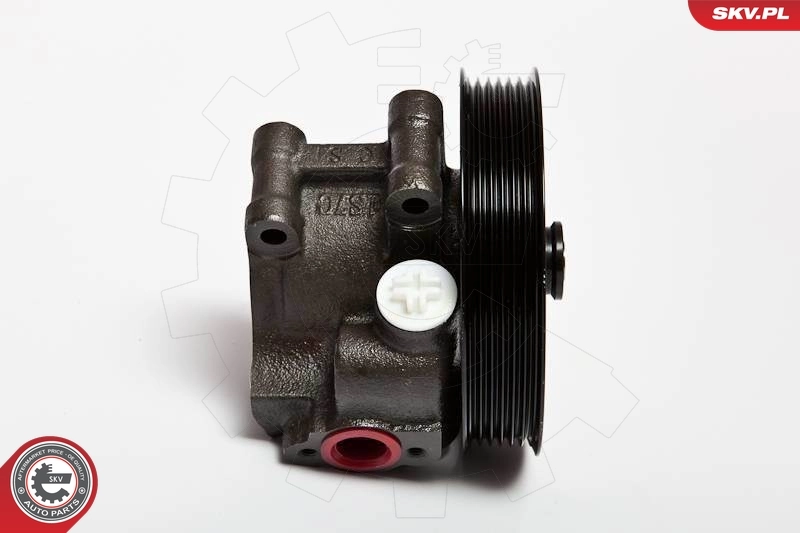 Hydraulic Pump, steering 10SKV067