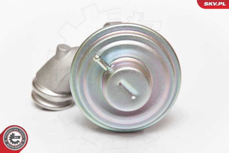 EGR Valve 14SKV075