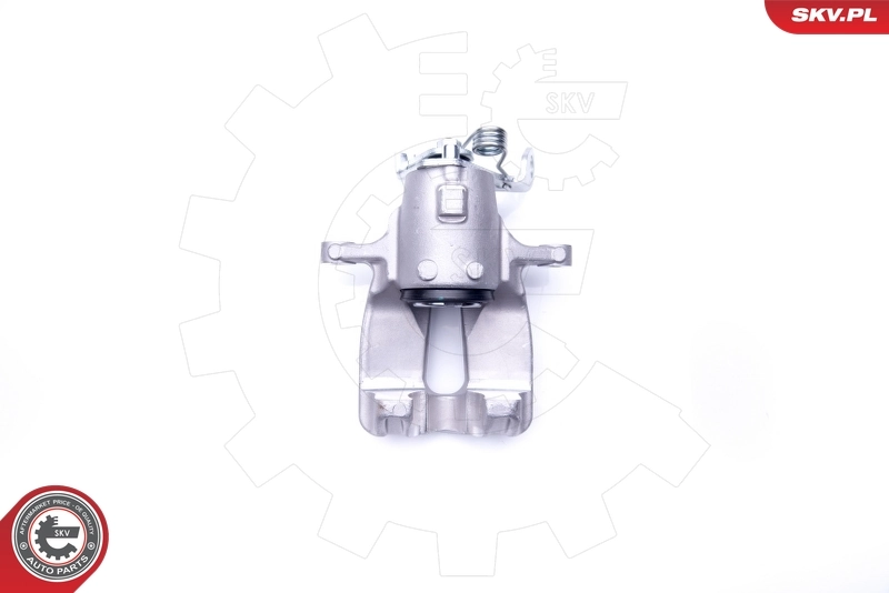 Brake Caliper 42SKV067