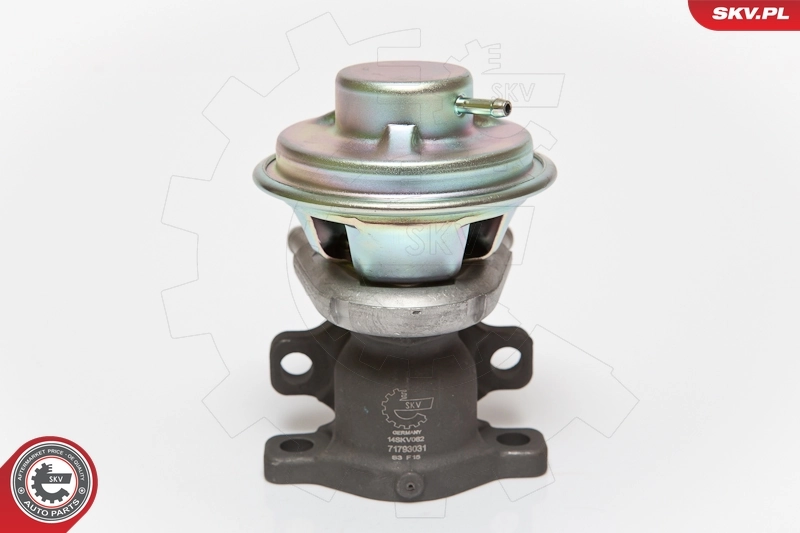 EGR Valve 14SKV062