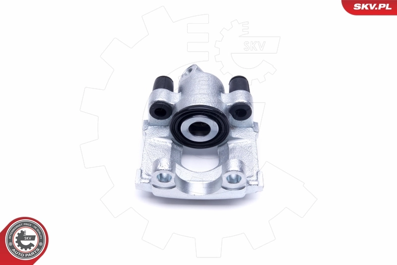 Brake Caliper 50SKV233