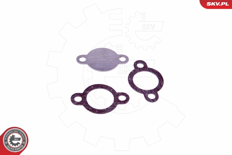 ESEN SKV 14SKV546 Repair Set, EGR valve
