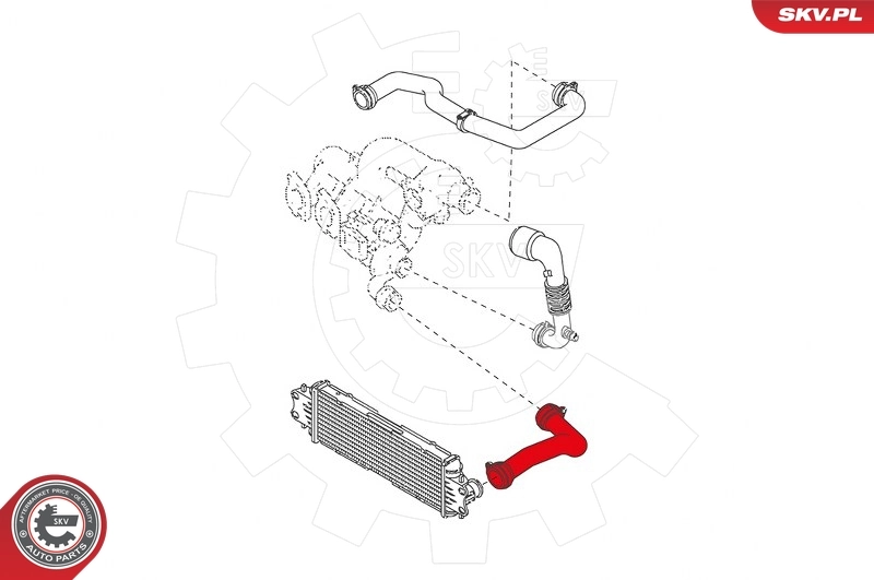 Charge Air Hose 43SKV092