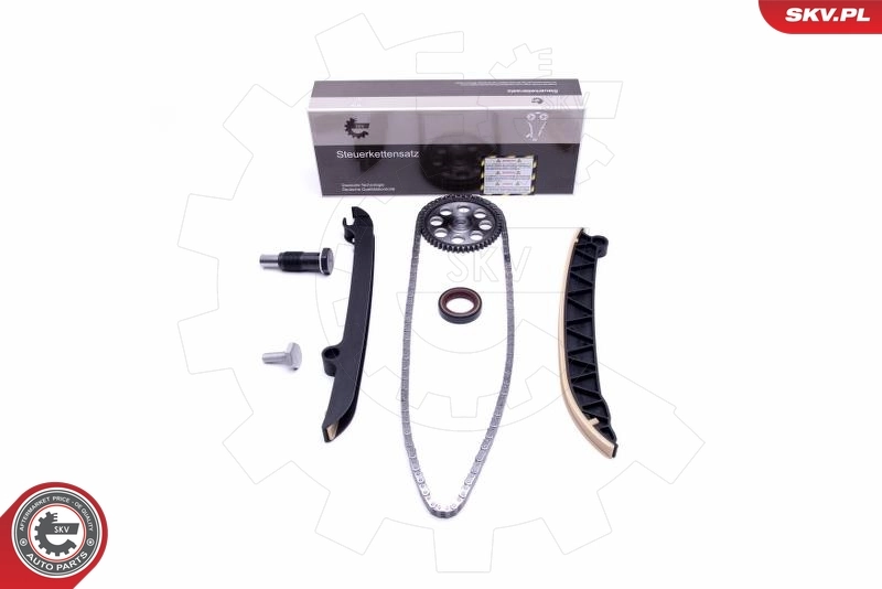 Timing Chain Kit 21SKV154