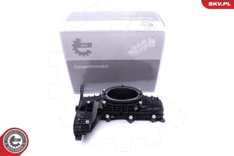 Intake Manifold Module 49SKV014