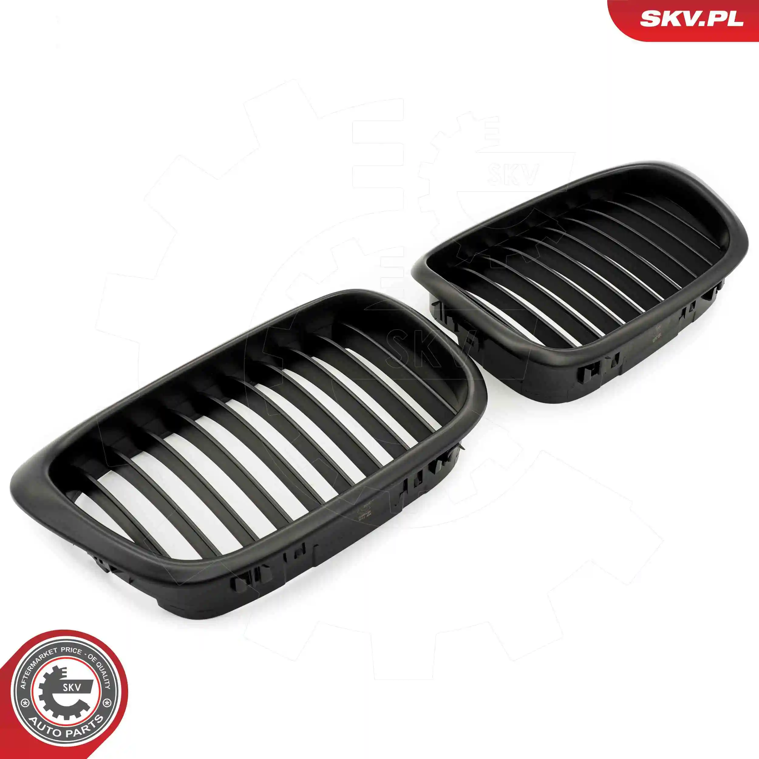 Radiator Grille 66SKV158