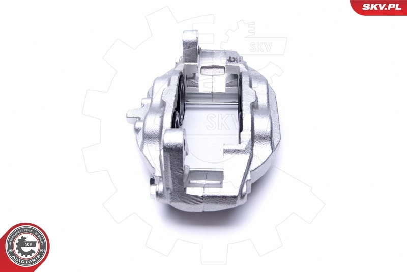 Brake Caliper 46SKV711