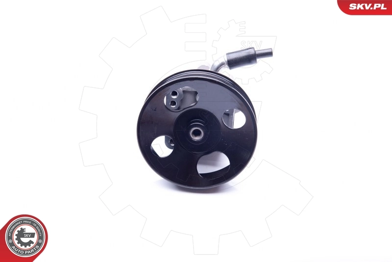 Hydraulic Pump, steering 10SKV277