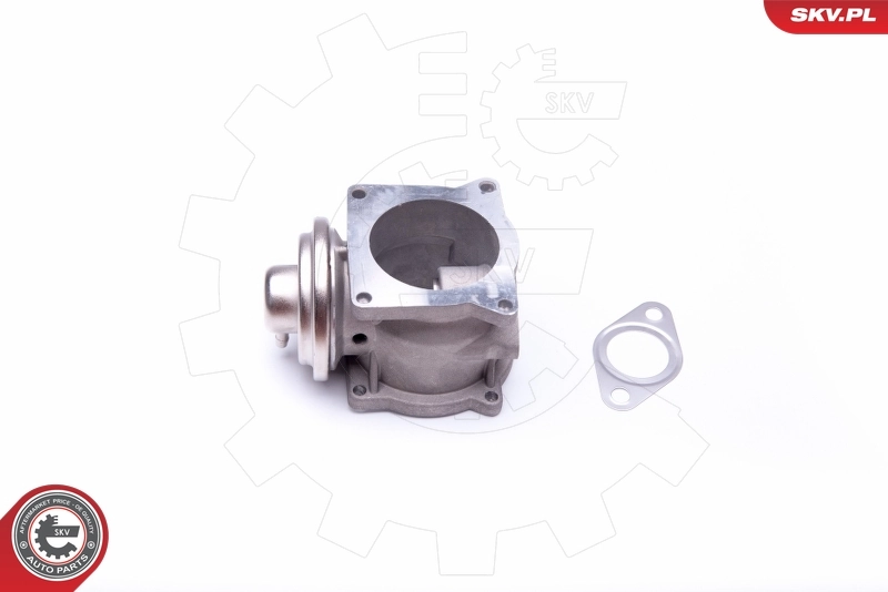 EGR Valve 14SKV108