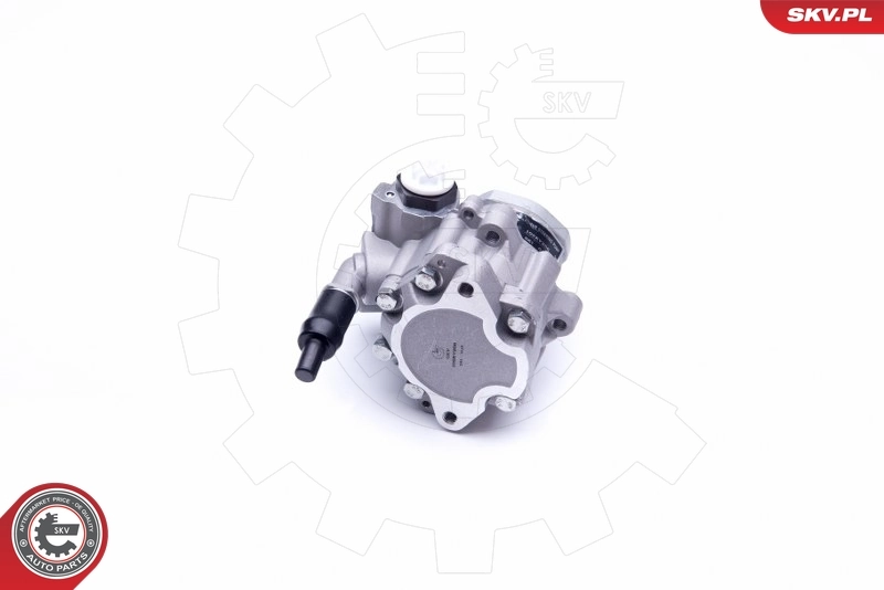 Hydraulic Pump, steering 10SKV256