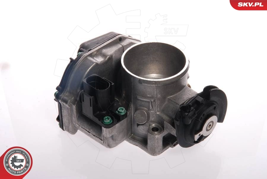 Throttle Body 12SKV022