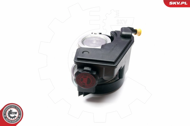 Hydraulic Pump, steering 10SKV231