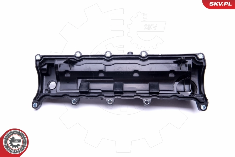 Cylinder Head Cover 48SKV066
