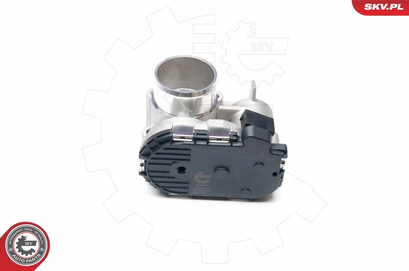 ESEN SKV 12SKV041 Throttle Body