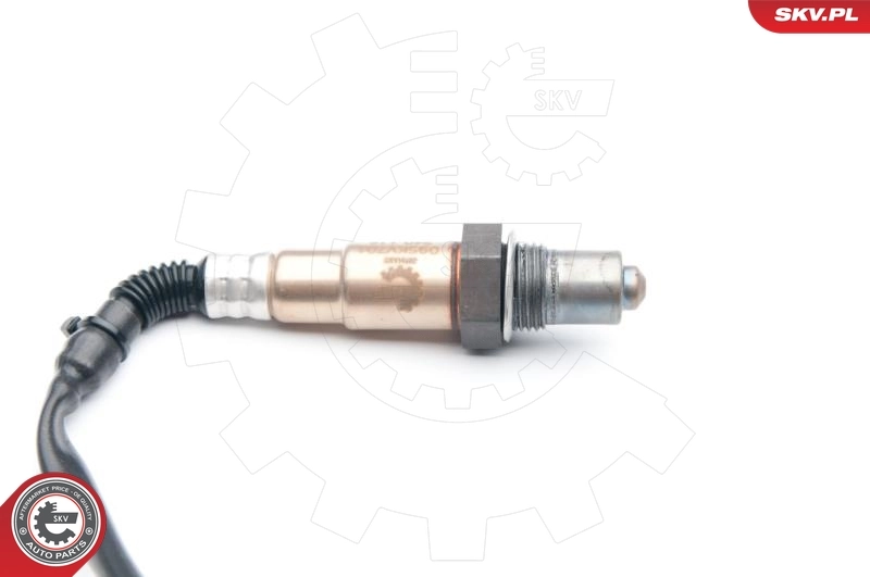 Oxygen Sensor 09SKV701