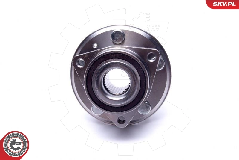 ESEN SKV 29SKV443 Wheel Bearing Kit