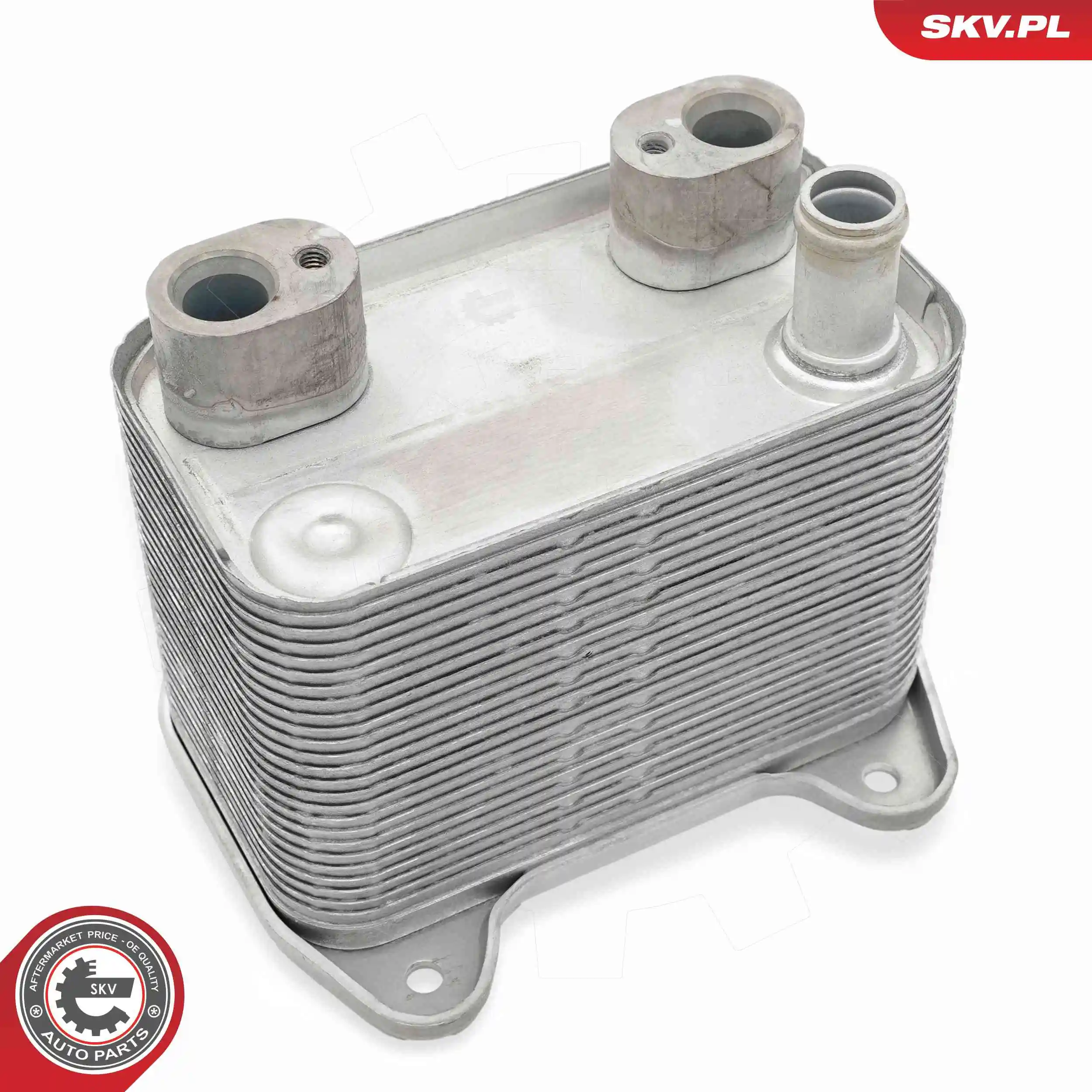 Oil Cooler, engine oil 31SKV297