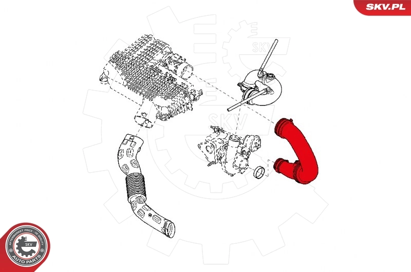 Charge Air Hose 24SKV729
