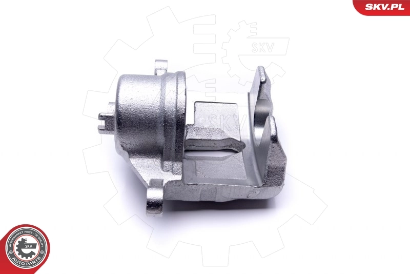 Brake Caliper 46SKV852