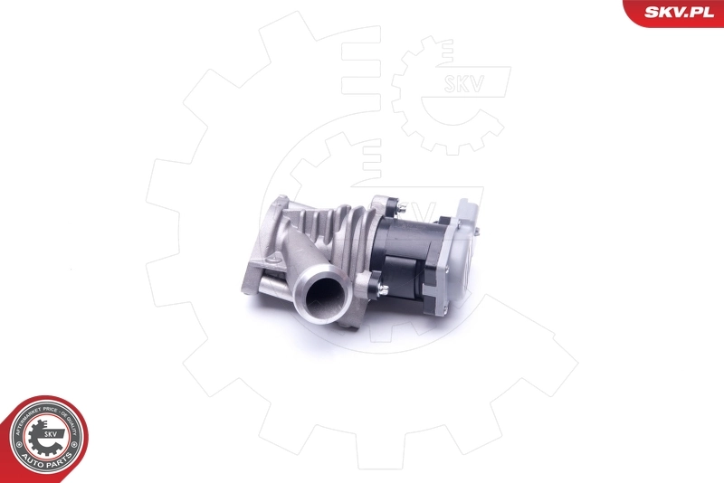 EGR Valve 14SKV173