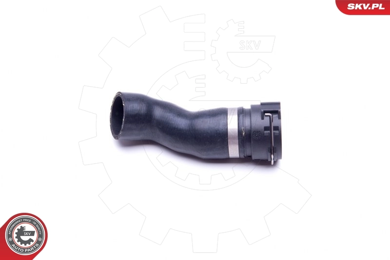 Radiator Hose 43SKV842