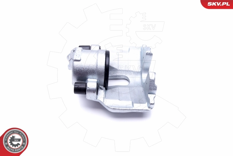 Brake Caliper 46SKV052