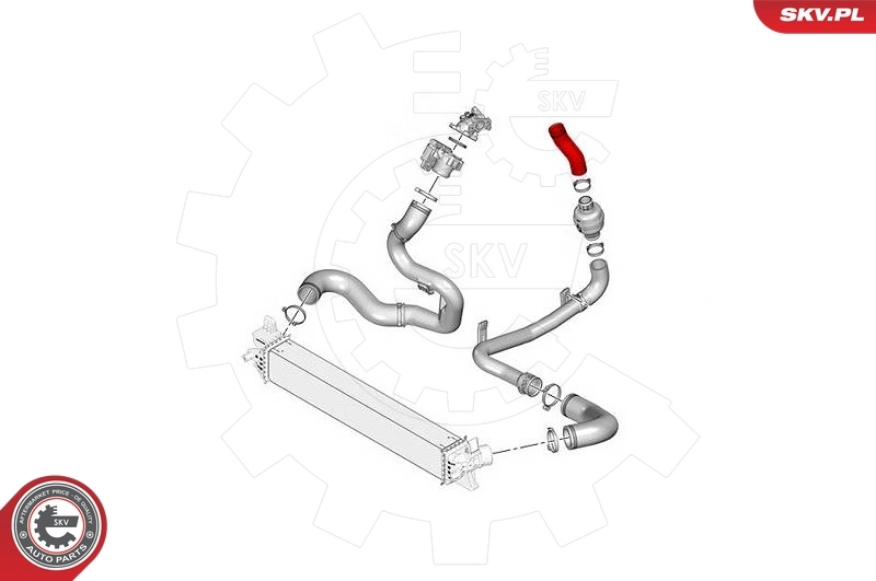 Charge Air Hose 43SKV278
