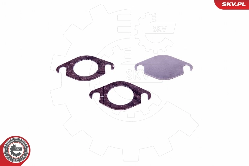 ESEN SKV 14SKV518 Repair Set, EGR valve