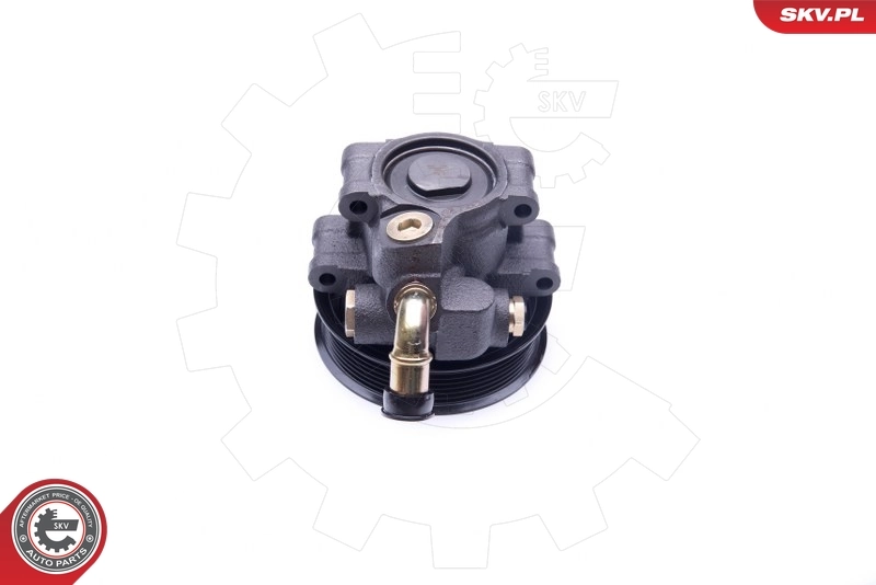 Hydraulic Pump, steering 10SKV101