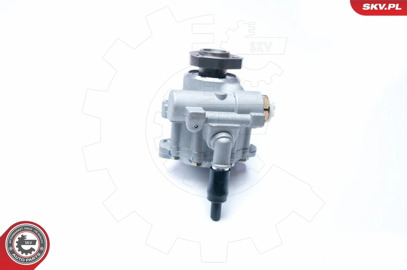 Hydraulic Pump, steering 10SKV230