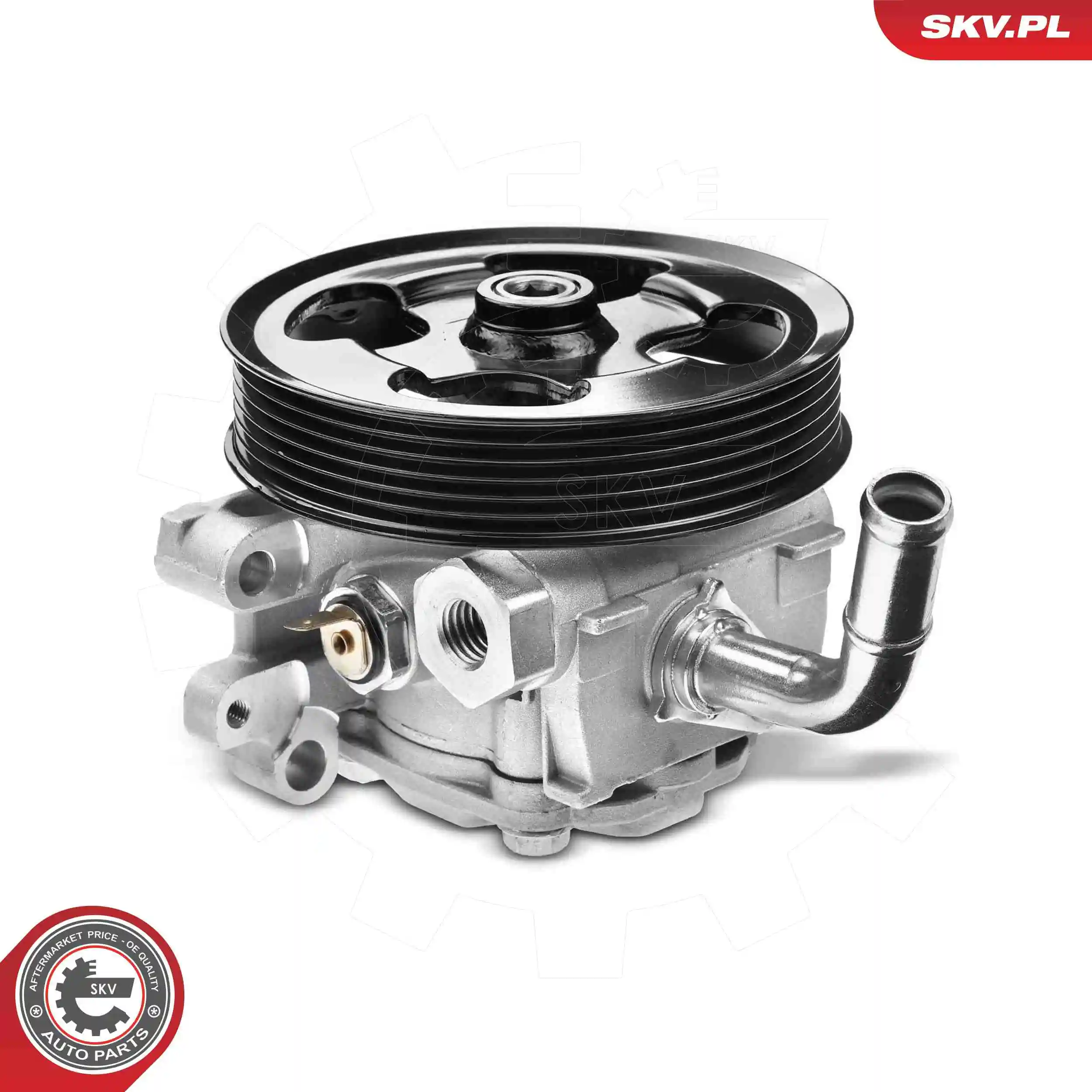 Hydraulic Pump, steering 10SKV336