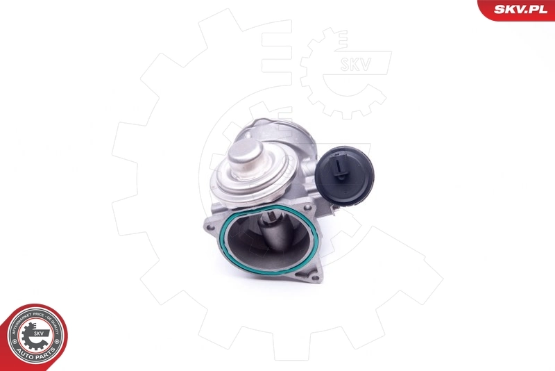 EGR Valve 14SKV091