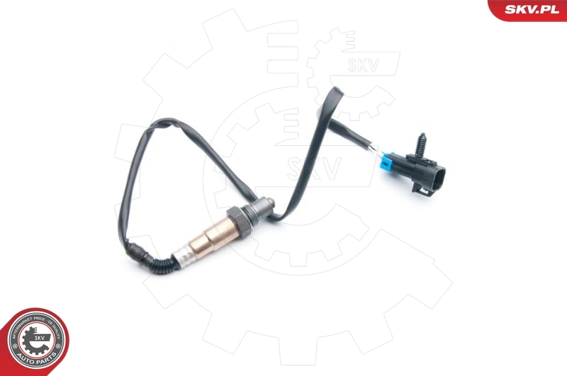 Oxygen Sensor 09SKV713