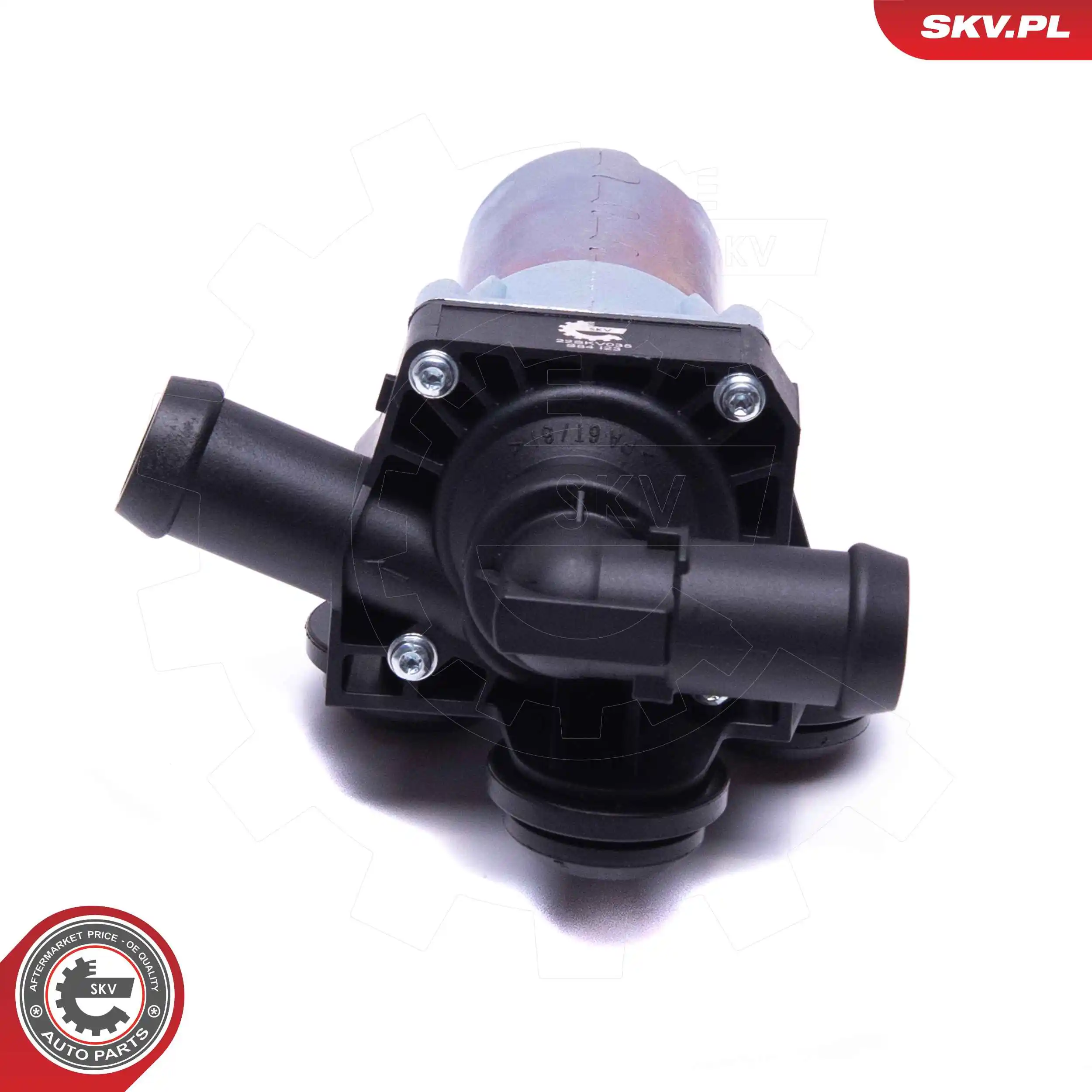 Auxiliary Water Pump (cooling water circuit) 22SKV035