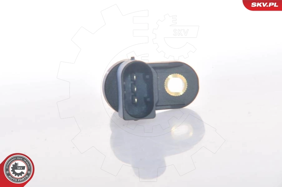 Sensor, camshaft position 17SKV232