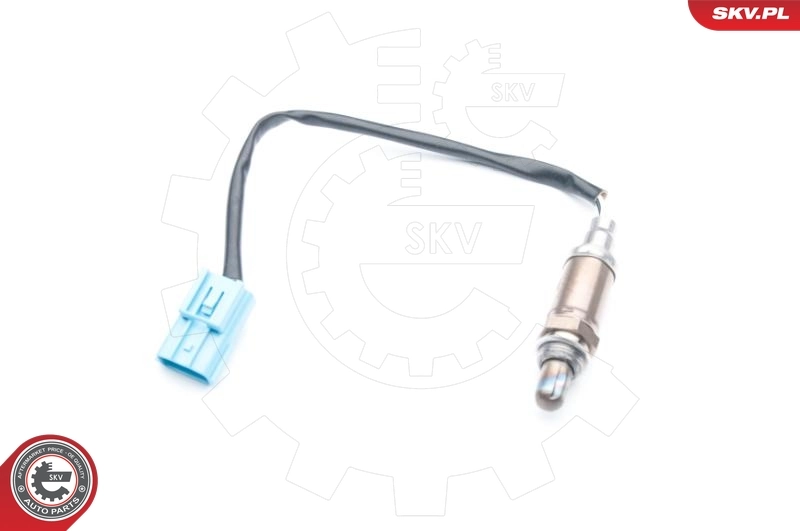 Oxygen Sensor 09SKV722