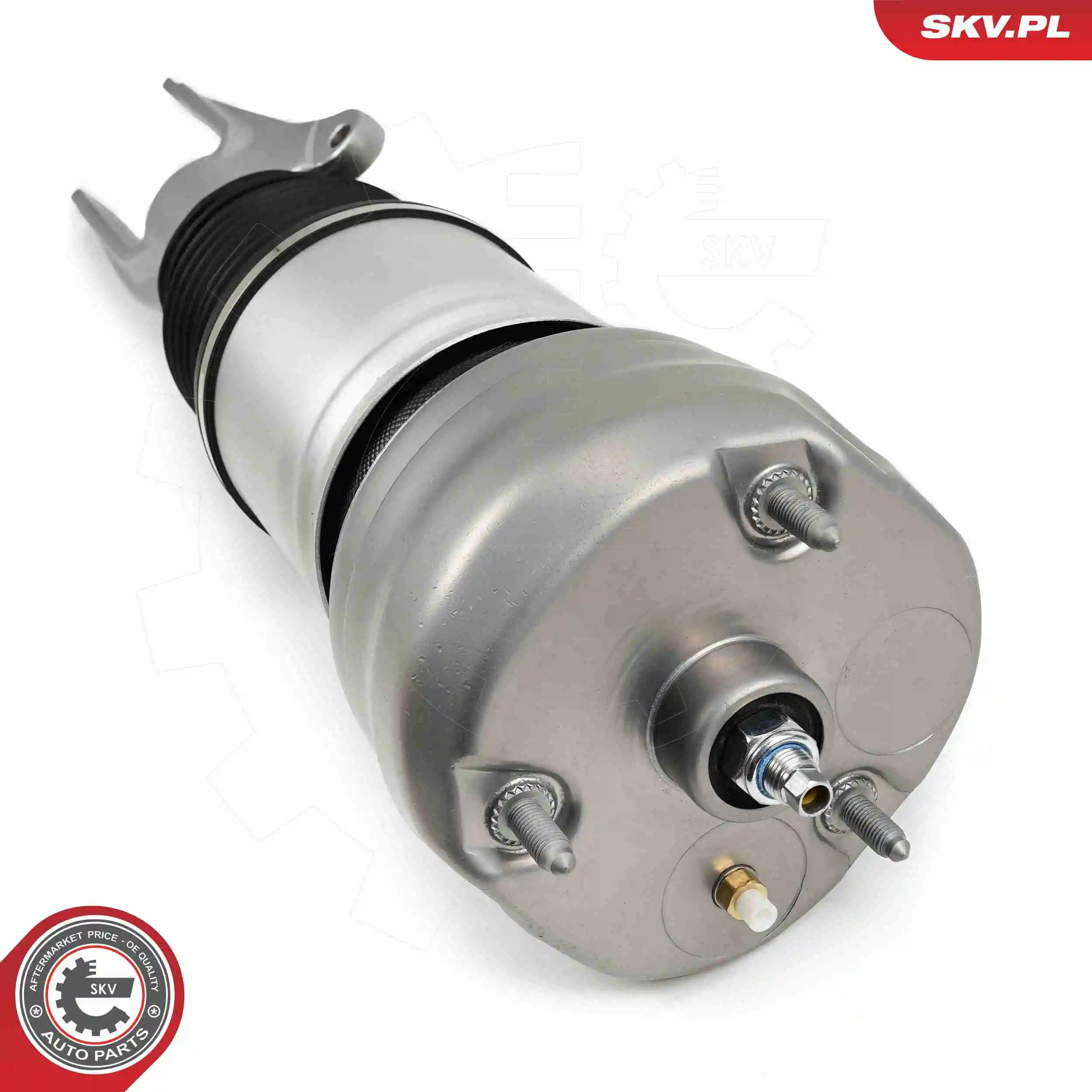 Air Suspension Strut 58SKV707